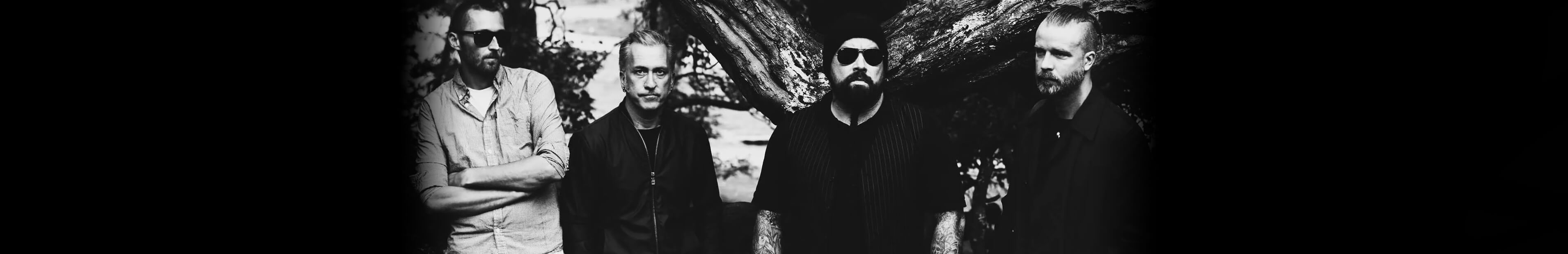 Ulver 