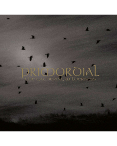 Primordial album cover The Gathering Wilderness