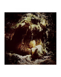 Wolves In The Throne Room  album cover Celestial Lineage