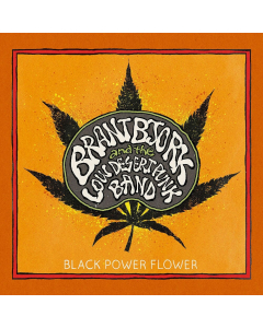 Brant Bjork and the Low Desert Punk Band album cover Black Power Flower