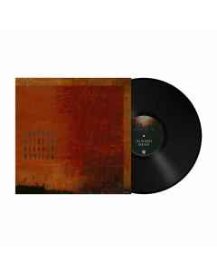 The Blurred Horizon - SCHWARZES Vinyl