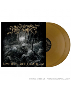 Live In North America - GOLDEN 2-Vinyl