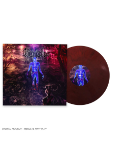 The Lucid Collective - RED BLACK Marbled Vinyl