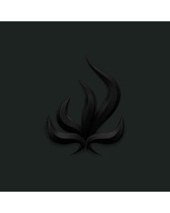 Black Flame - CD
