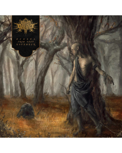Echoes from Deep November - LP