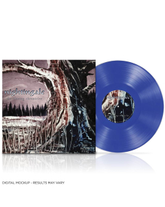 CDs, Vinyls and more CDs, Vinyls and more