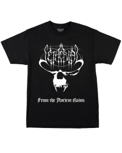 From The Ancient Ruins - Shirt