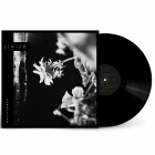 Wallflowers - SCHWARZES Vinyl