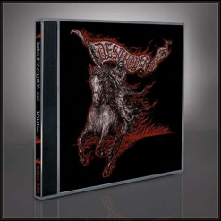 DESTRÖSTER 666 - Wildfire / CD