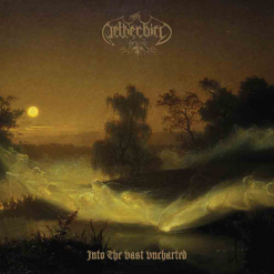 netherbird into the vast uncharted cd