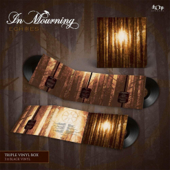 in mourning echoes silver vinyl box