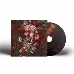 Beautiful Ghosts - Digipak CD