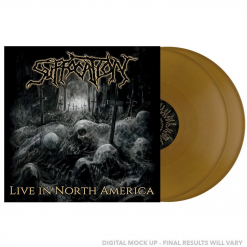 Live In North America - GOLDENES Vinyl