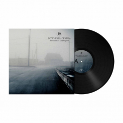 Silhouettes Of Disgust - SCHWARZES Vinyl