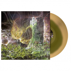 Into The Grave - SWAMP GREEN BEER COLOURED Swirl Vinyl