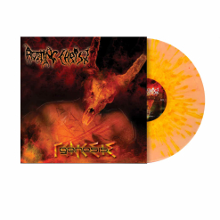 Genesis - ORANGE GELBES Splatter Vinyl