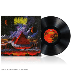 Absolute Elsewhere - Black LP