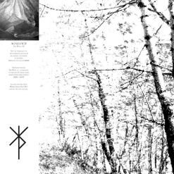 The White EP - Slipcase CD