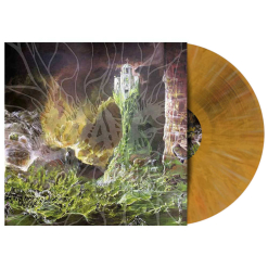 Into the Grave - Citrus LP