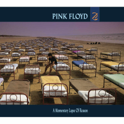 A Momentary Lapse of Reason - CD
