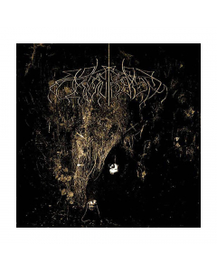 WOLVES IN THE THRONE ROOM - Two Hunters / CD