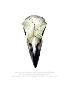 ALCHEMY ENGLAND - Reliquarty Raven Skull