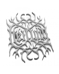 heilung logo metal pin