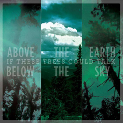 Above The Earth, Below The Sky CD