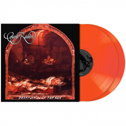 Destruction Of The Void ORANGE RED Marbled 2-LP Gatefold