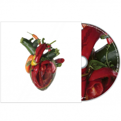 Torn Arteries - Digipak CD